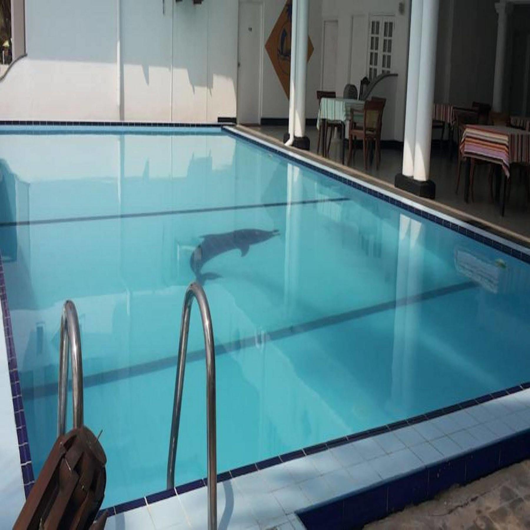 Ap Nippon Beach Hikkaduwa Exterior foto